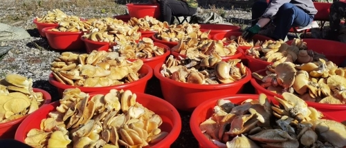 ΢��ͼƬ_20231030075315