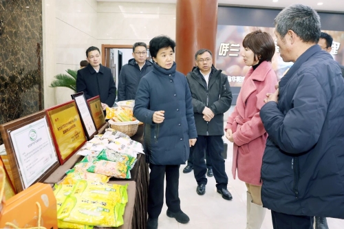 ΢��ͼƬ_20231115110431