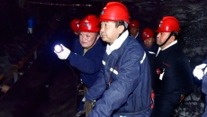 BOB�������ߡ�(�й�)����