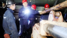 BOB�������ߡ�(�й�)����