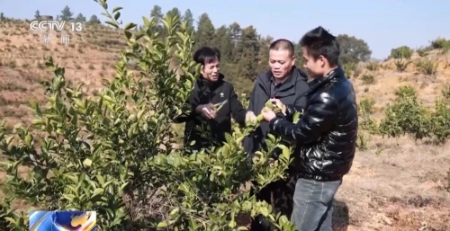 ΢��ͼƬ_20231230185234