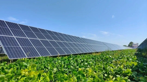 ΢��ͼƬ_20240110181758