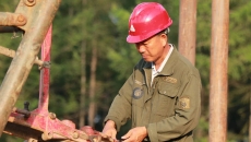 BOB�������ߡ�(�й�)����