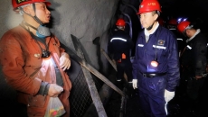 BOB�������ߡ�(�й�)����