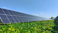 BOB�������ߡ�(�й�)����