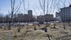 BOB�������ߡ�(�й�)����