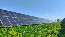 BOB�������ߡ�(�й�)����