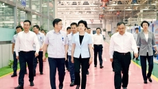 BOB�������ߡ�(�й�)����