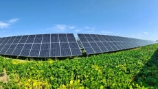 BOB�������ߡ�(�й�)����