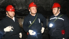 BOB�������ߡ�(�й�)����