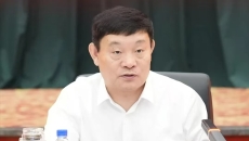 BOB�������ߡ�(�й�)����