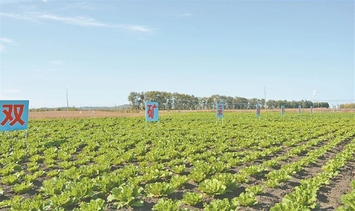 ΢��ͼƬ_20241021081443