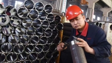 BOB�������ߡ�(�й�)����