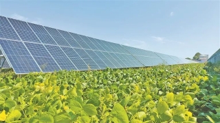 微信图片_20241103175201 微信图片_20241103175201