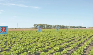 微信图片_20241103175204 微信图片_20241103175204