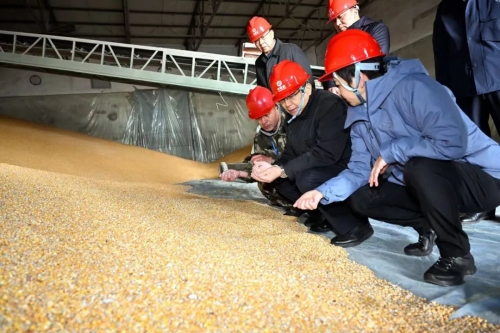 ΢��ͼƬ_20241106195715