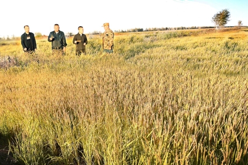 ΢��ͼƬ_20241109194930