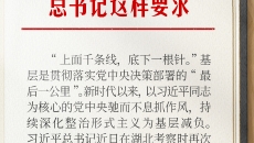 BOB�������ߡ�(�й�)����