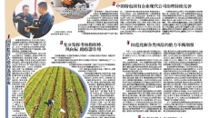 BOB�������ߡ�(�й�)����