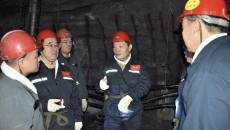 BOB�������ߡ�(�й�)����