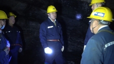 BOB�������ߡ�(�й�)����