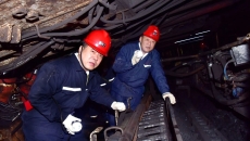 BOB�������ߡ�(�й�)����