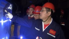 BOB�������ߡ�(�й�)����