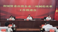 BOB�������ߡ�(�й�)����