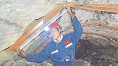 BOB�������ߡ�(�й�)����