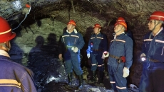 BOB�������ߡ�(�й�)����