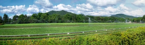 ΢��ͼƬ_2025-12-25_210619_750