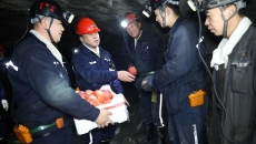 BOB�������ߡ�(�й�)����