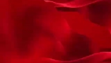 BOB�������ߡ�(�й�)����